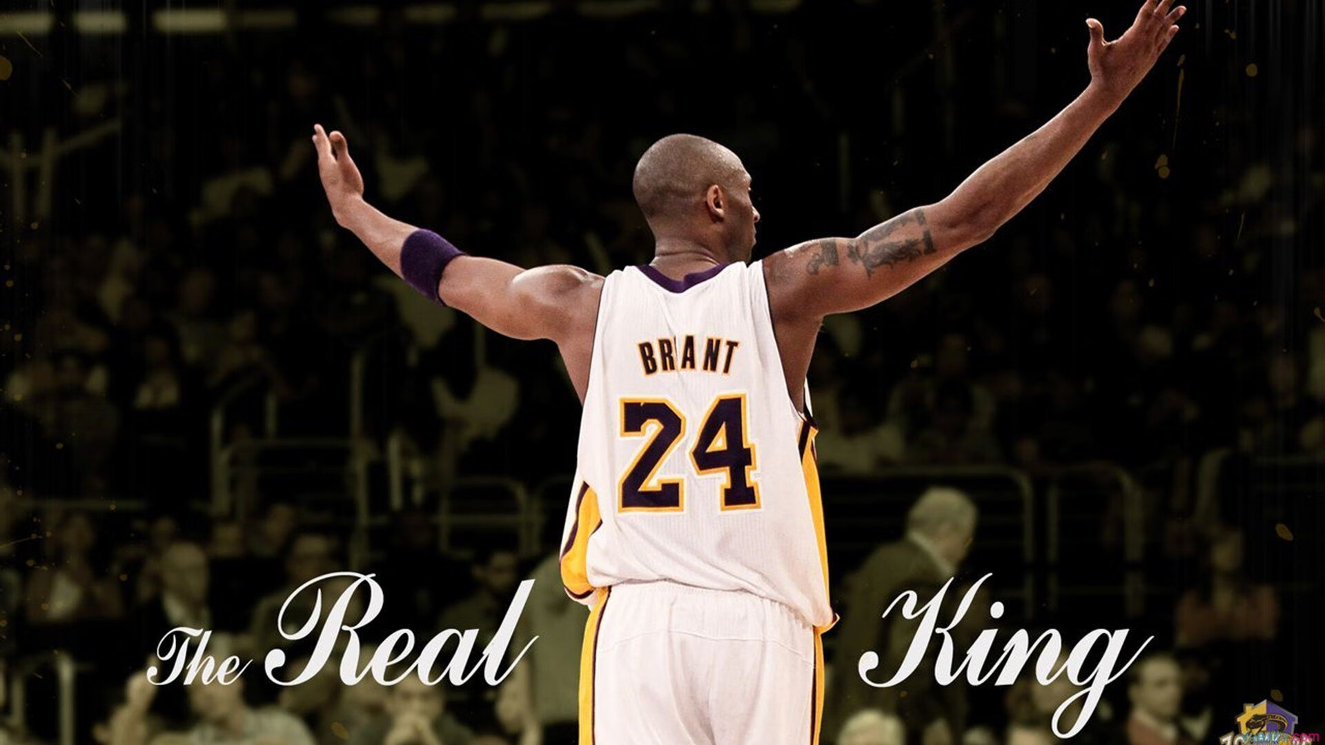 《王者荣耀》跨国合作战队正式亮相，构建全球电竞生态，《王者荣耀》引入欧美战队,职业联赛升级国际化赛区