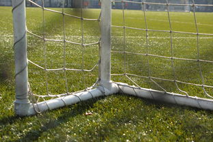 五大联赛门将扑点成功率大比拼，门将扑点球排名